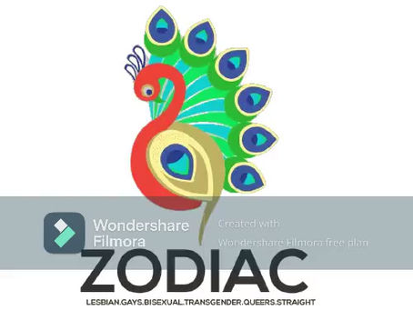 19 TikTokers will compete for the ultimate holiday tiktoker 2021