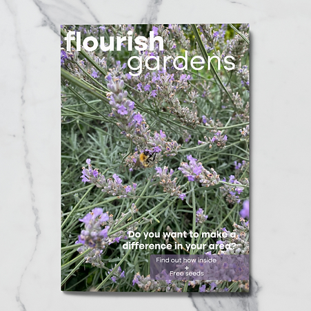 Screenshot 2025-01-31 163552.png