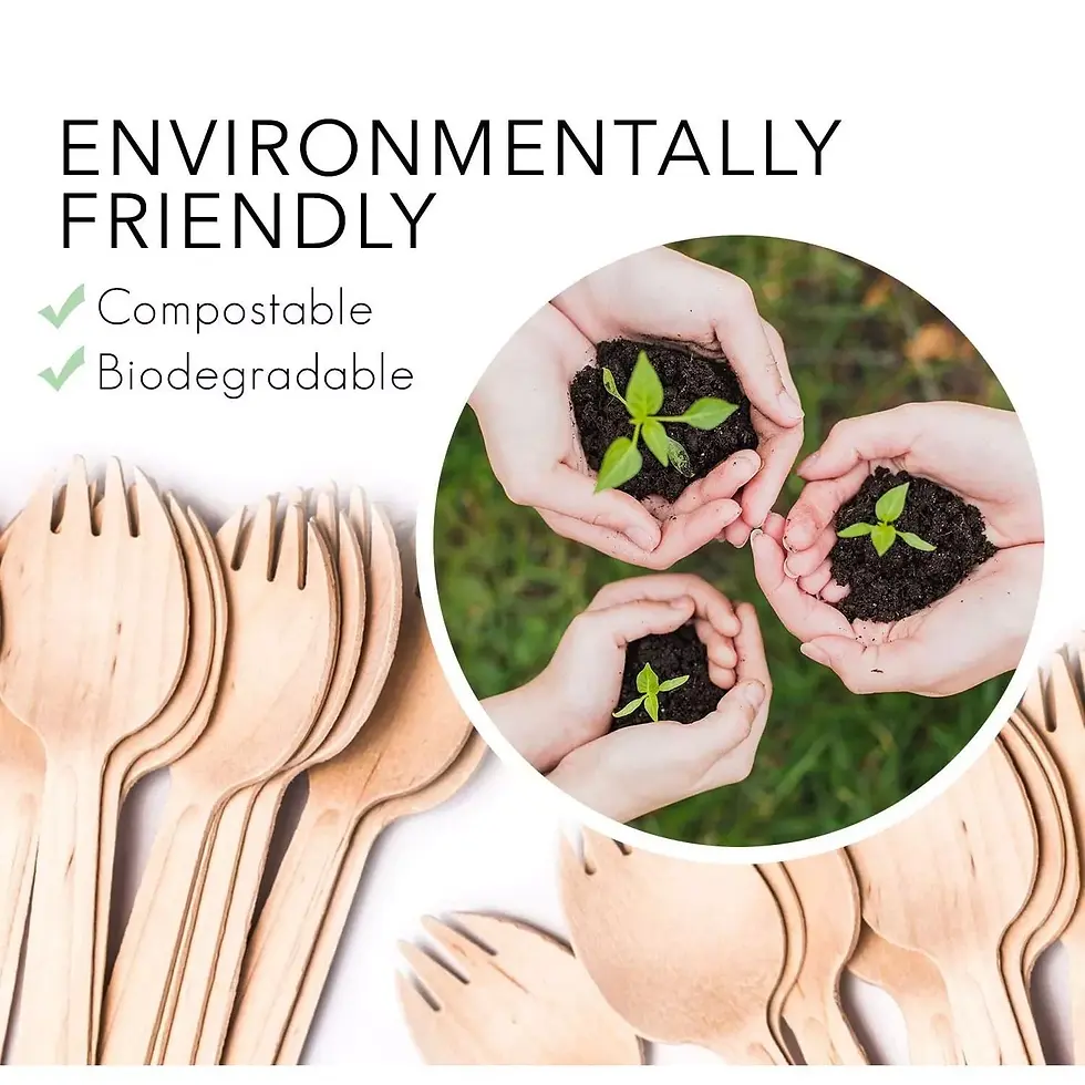 Catering KH Packaging & Disposables Limited England