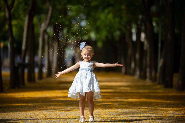 Child standing in a park avenue with petals floating around.