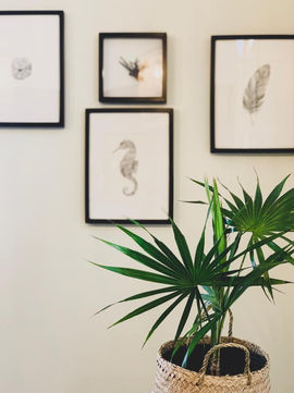 Decore