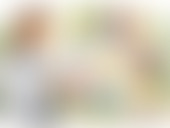 Programa de acompanhamento geriátrico em Florianópolis: cuidado contínuo para quem busca envelhecimento saudável