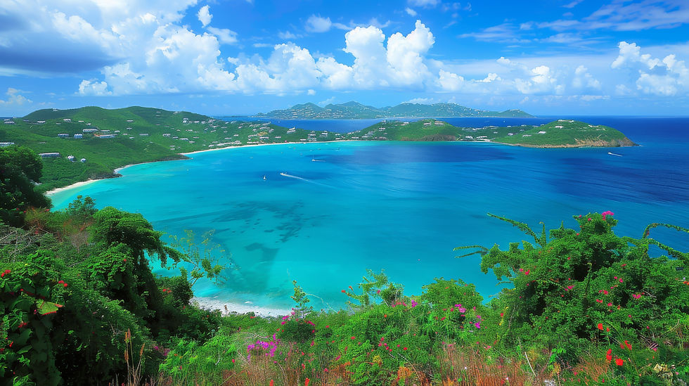 Wide angle view of the lush tropical mountains above the bay in St. Thomas