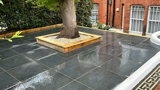 WhatsApp Image 2024-11-12 at 21.12.51_114306bc.jpg