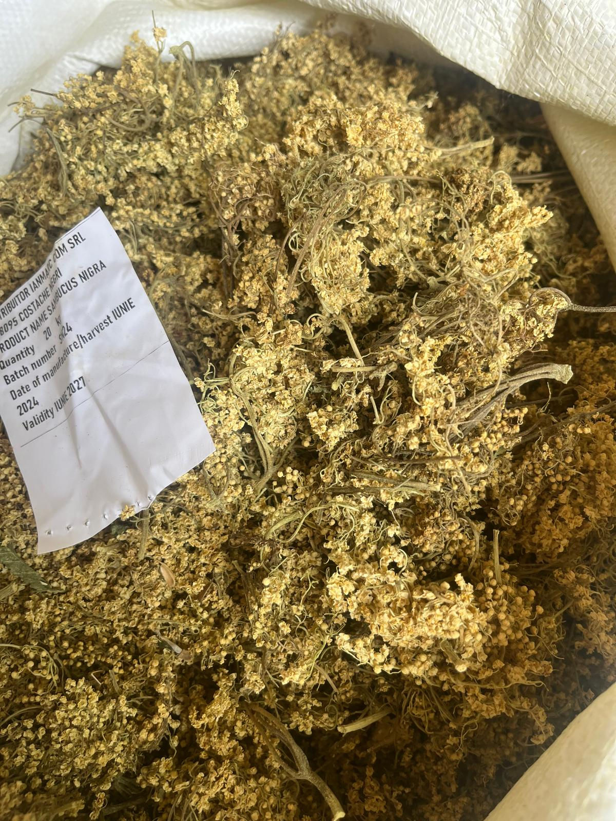 Elderflower (Sambucus nigra flos)