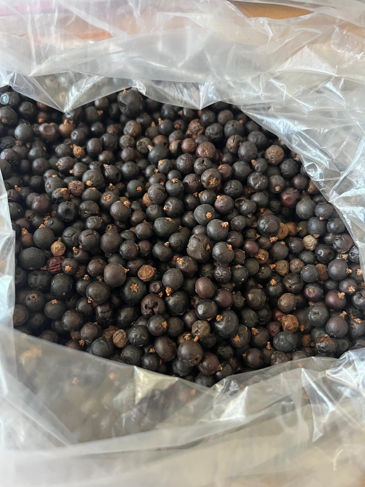 Juniper Berry (Juniperus communis fructus)