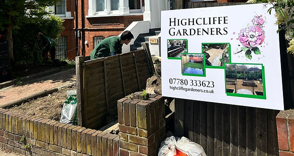 WhatsApp Image 2024-11-12 at 21.12.45_c8cb0a74.jpg