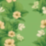 a green vintage background for a landscaping company description.jpg