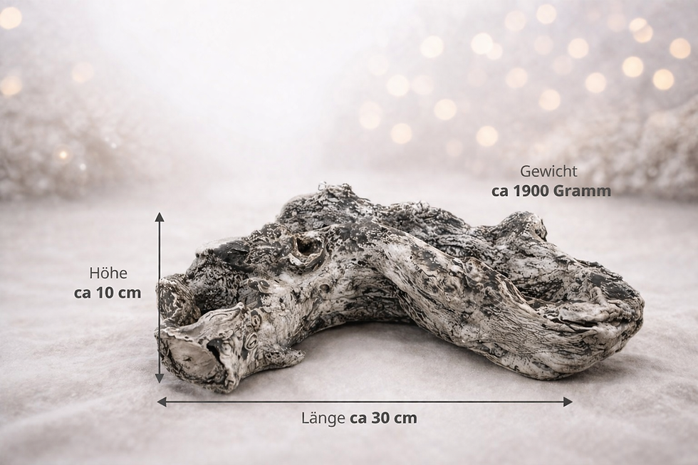 Miniaturbild: Pflanzschale Naturform