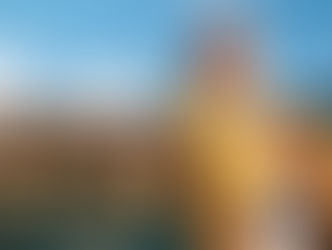 Buyer Beware: Nygard Cay For Sale