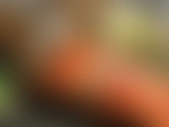 What fish are the safest to eat?