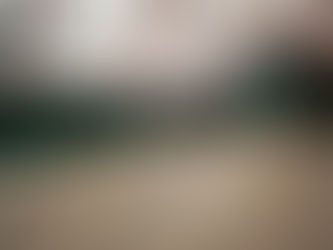 Il Basket Bee arriva nella palestra dell'I.C "Donna Lelia Caetani" di Sermoneta Scalo