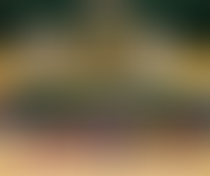 Al via i Campionati Giovanili del Basket Bee Sermoneta