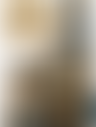 Casa Batlló — The House of the Dragon and the Living Breath