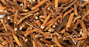 SARSAPARILLA