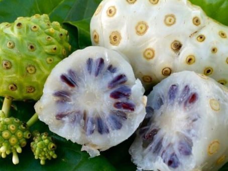 NONI FRUIT
