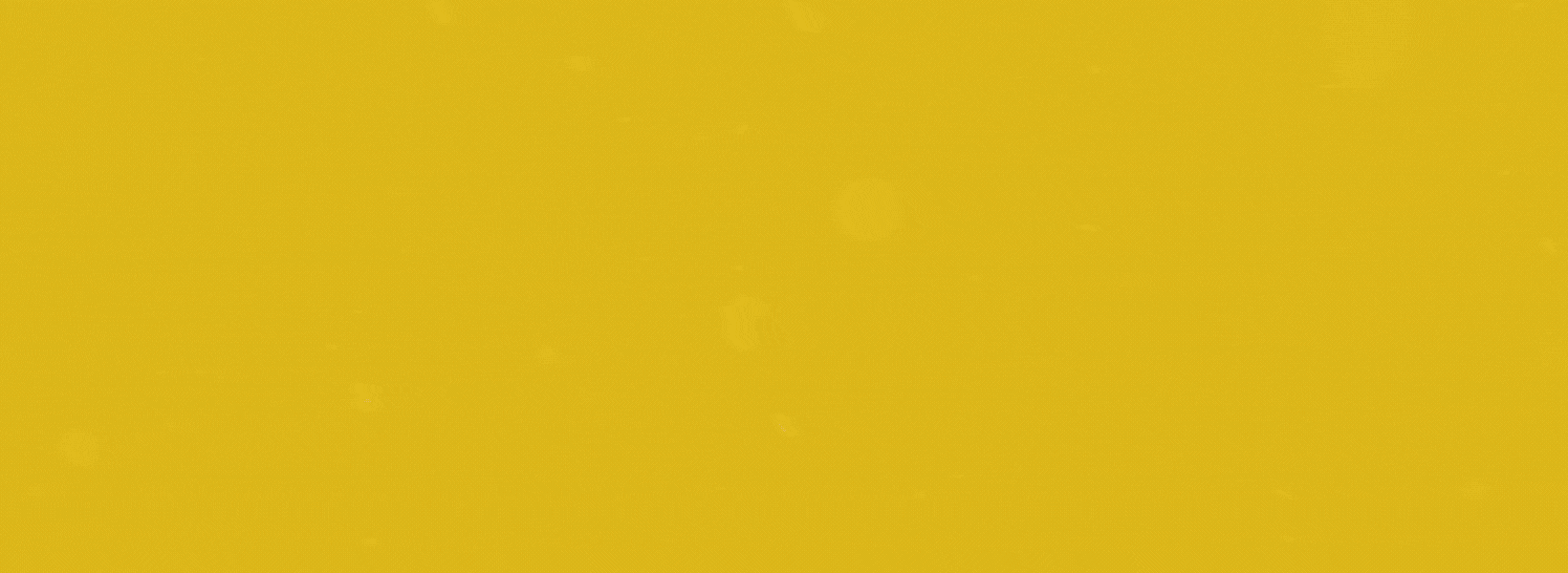 Christmas SET (2).gif