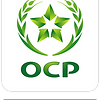 Logo OCP AFRICA couleurs.png