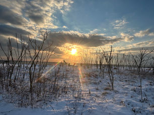 Honoring the Yin Season