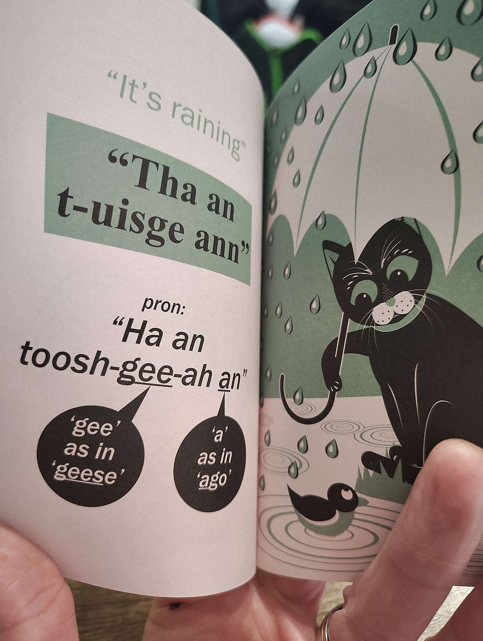 Thumbnail: Teach Your Cat Gaelic
