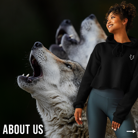 About Us