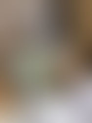 2025年10月6日(月)中秋の名月