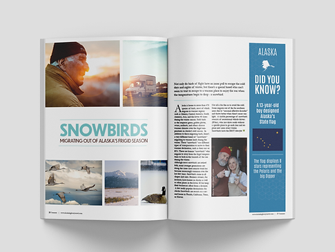Snowbirds spread.png