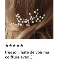 Gypsophiles, pics à cheveux mariée bohème