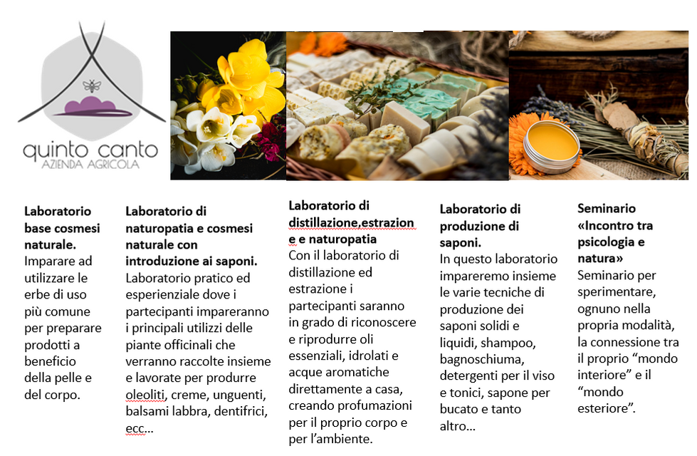 Immagine 2024-01-29 230930