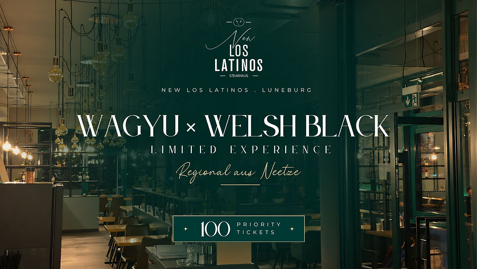 Wagyu × Welsh Black – Limited Experience