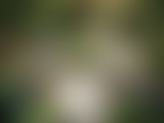 Top Texas and Washington Facilities for Dual Diagnosis Care