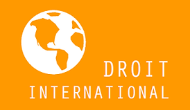 Avocat cour européenne des droits de l'homme avocat droit international avocat internationaliste meilleur avocat à strasbourg