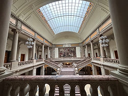 Avocat droit de l'homme