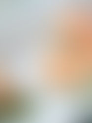Catering-Trends 2024: Was ist aktuell angesagt?