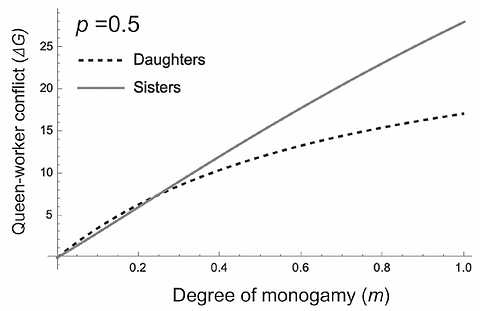 Screenshot 2025-05-17 at 9.55.52 AM.png