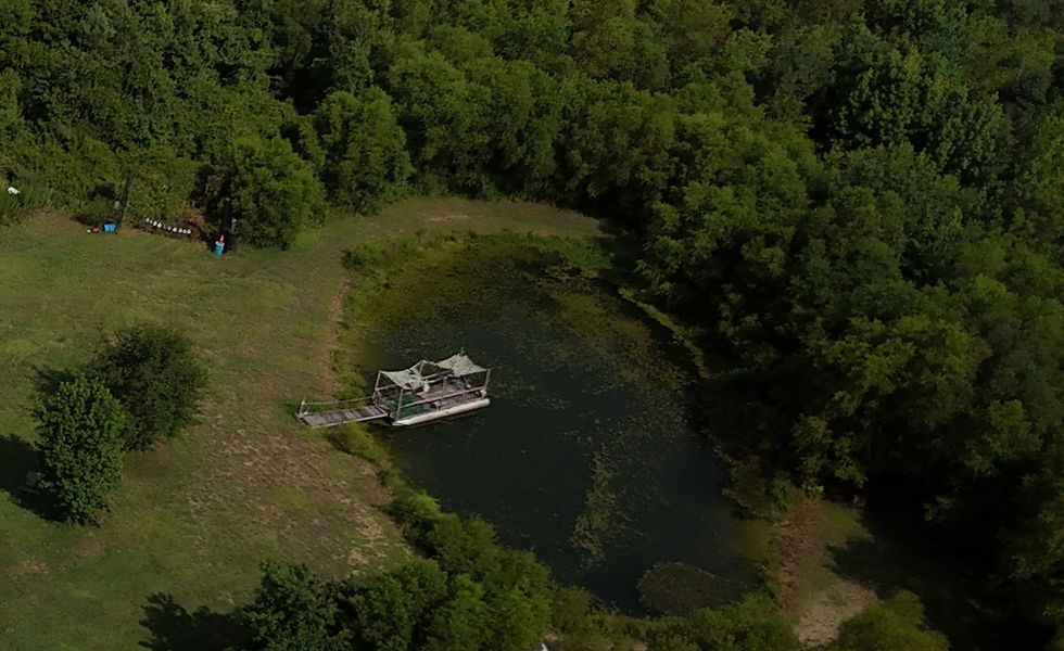 hero_pond_crop.jpg