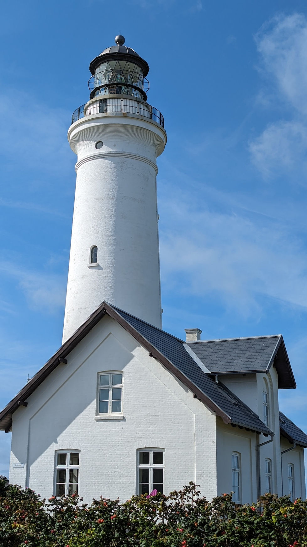 PXL_20230824_113753341