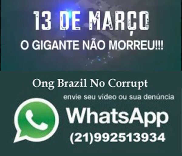 FORA TEMER E CORRUPTOS #SOSFFAA #LavaJatoEuApoio DIA 13 DE MARÇO!