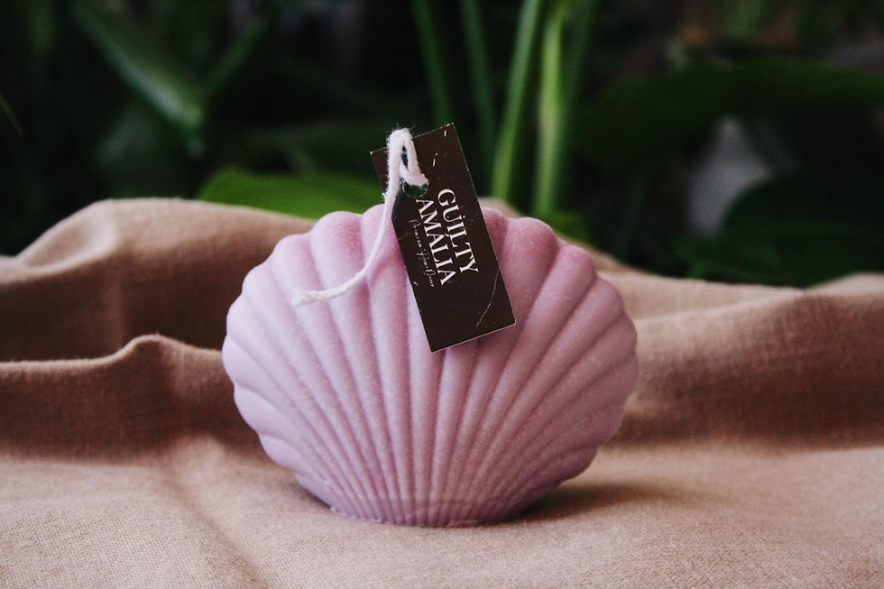 Miniatura: Concha