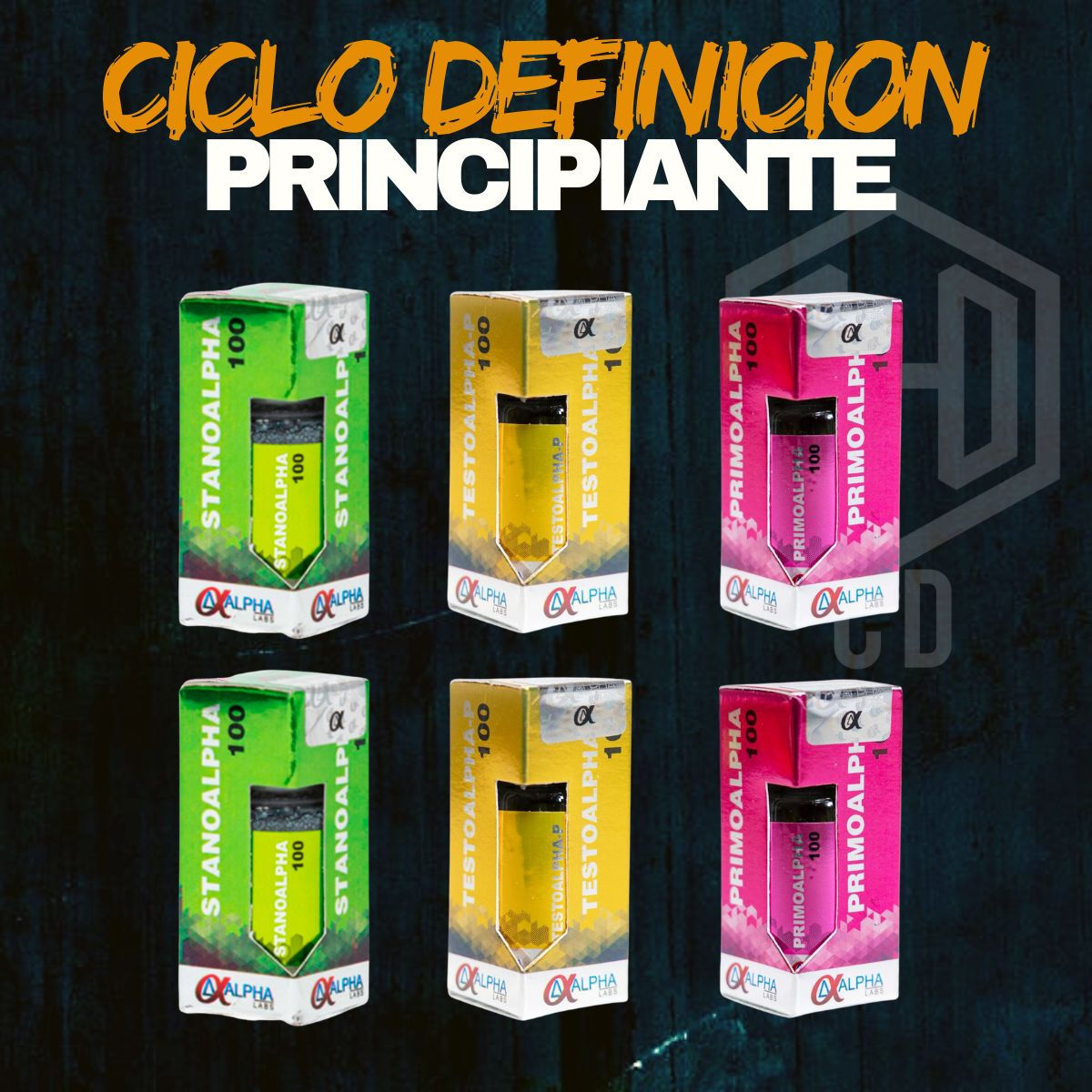 Ciclo Definicion Principiante Alpha Labs