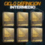 Ciclo Definicion intermedio Euro Labs