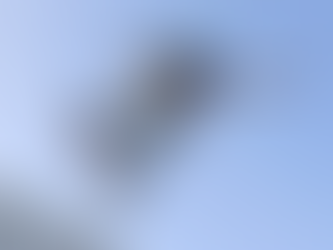 Brigitte y su pasión por el skateboarding