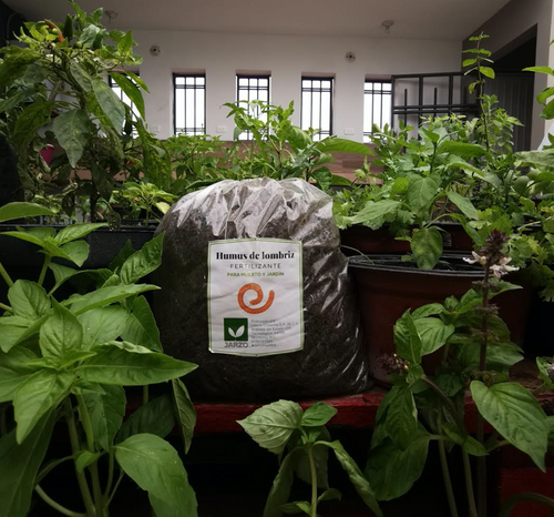 Humus de lombriz - sólido | DeLaBanqueta