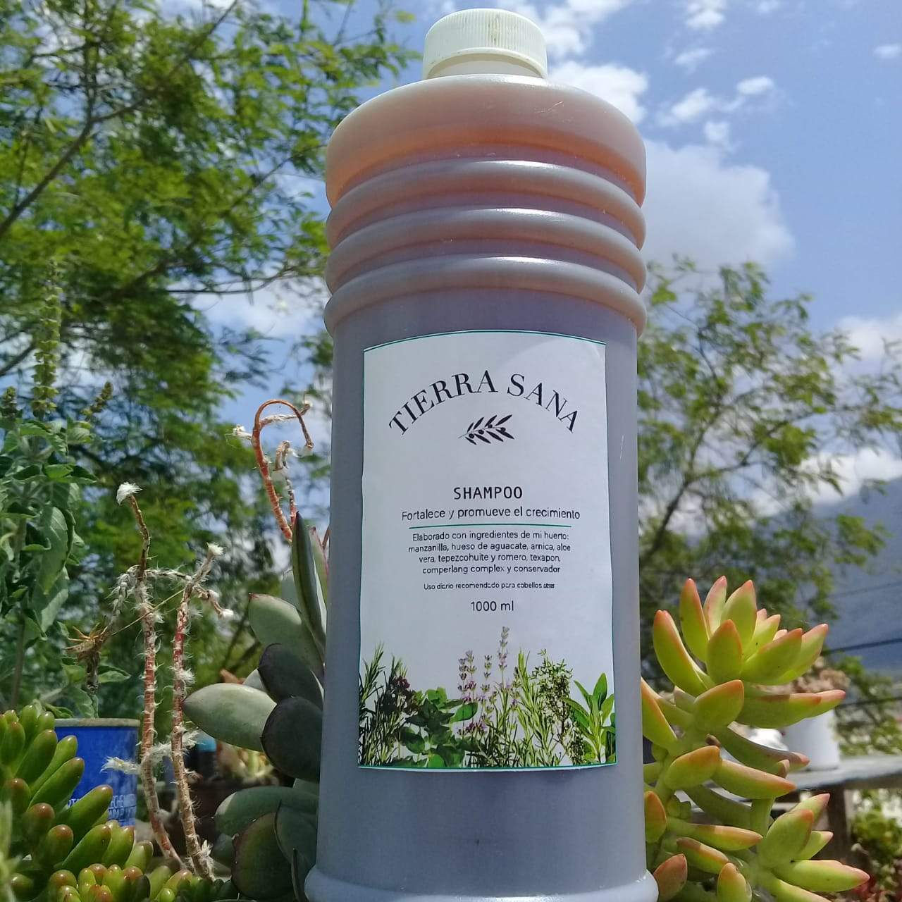 Shampoo para crecimiento de cabello
