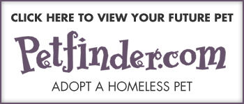 petfinder-btn.gif