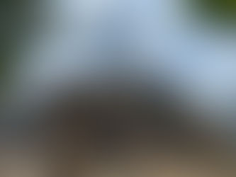 Whiteman Gibbs Science Center Construction Update