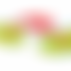 Werken in de zorg in Zwitserland: stappenplan