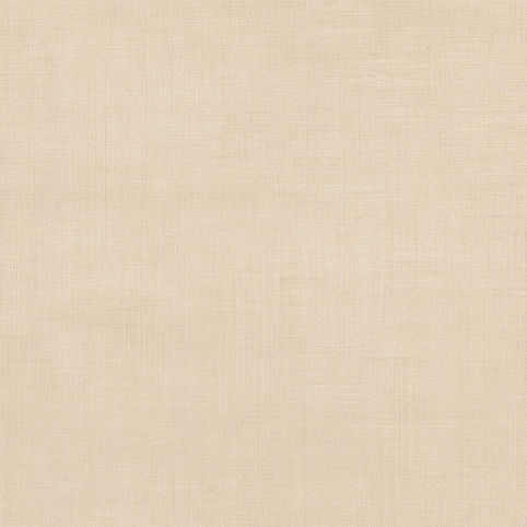 soft tonal beige lightly textured papyrus same pattern all around background.jpg