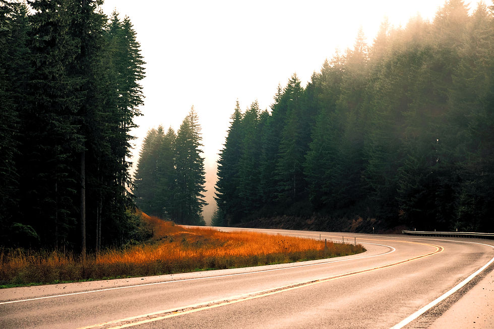 Winding Road_edited_edited.jpg
