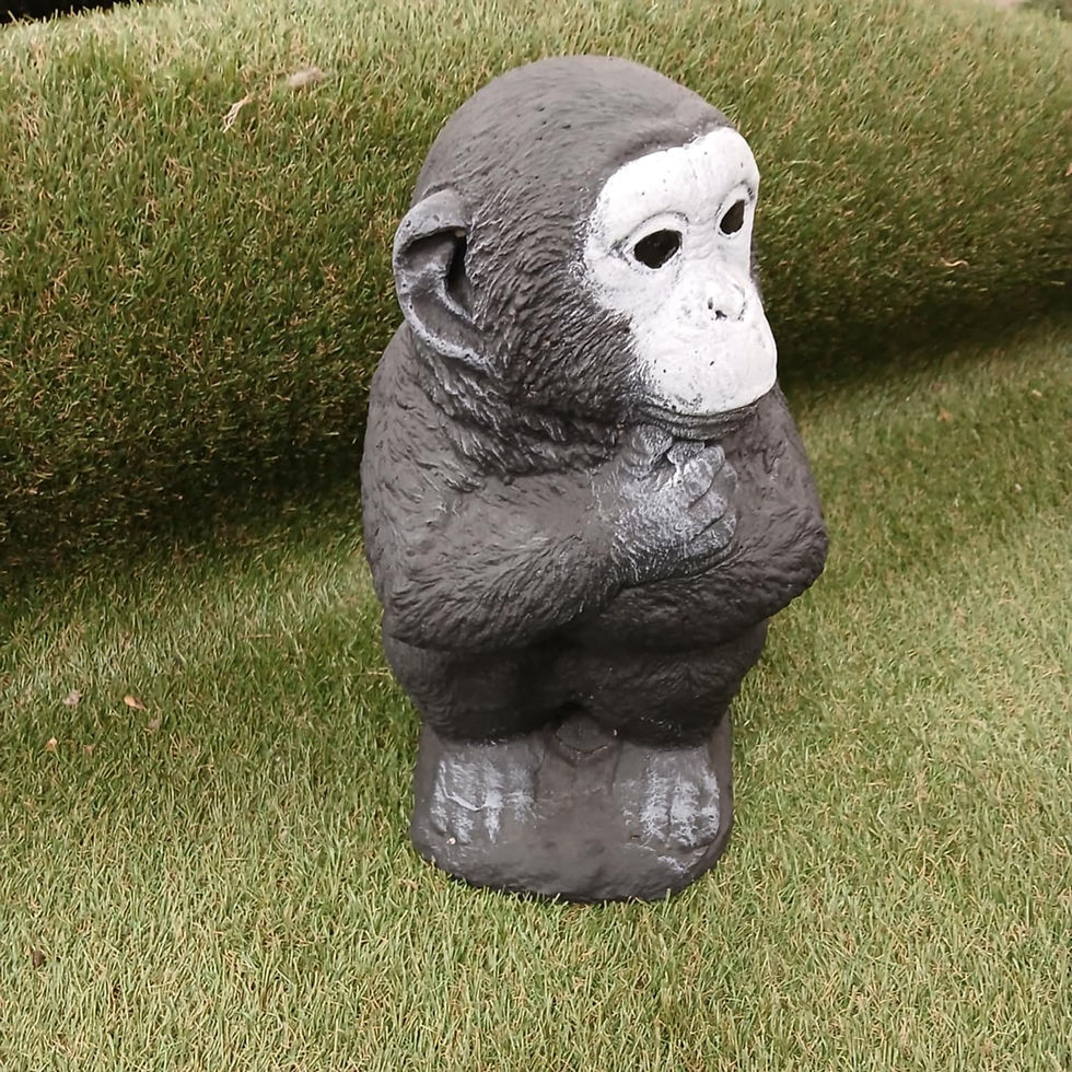 Grey face monkey